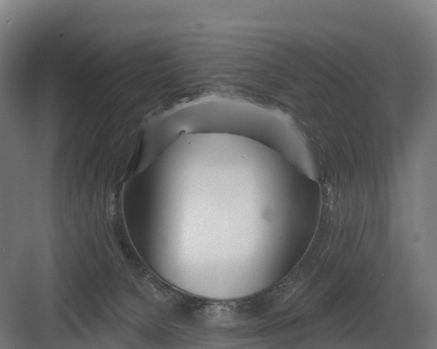 X0000082160080200702092228