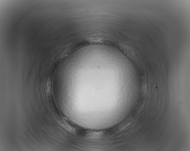 X0000082160081200702092228