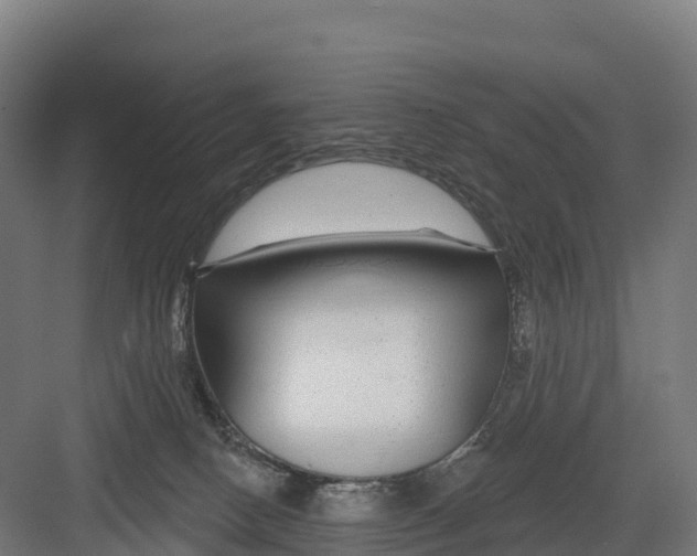 X0000082160082200702092228