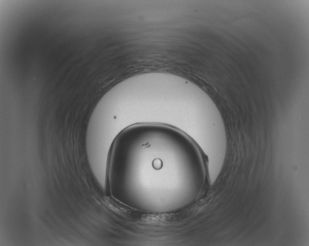 X0000082160084200702092229