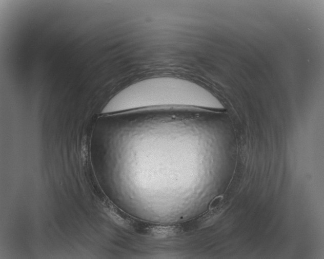 X0000082160085200702092229