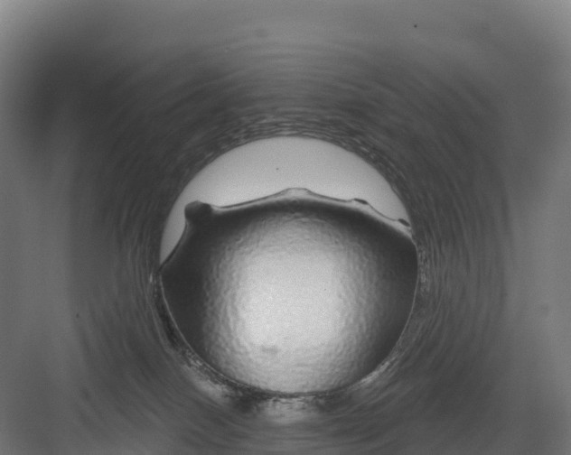 X0000082160086200702092229