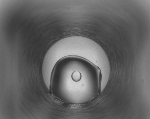 X0000082160088200702092229