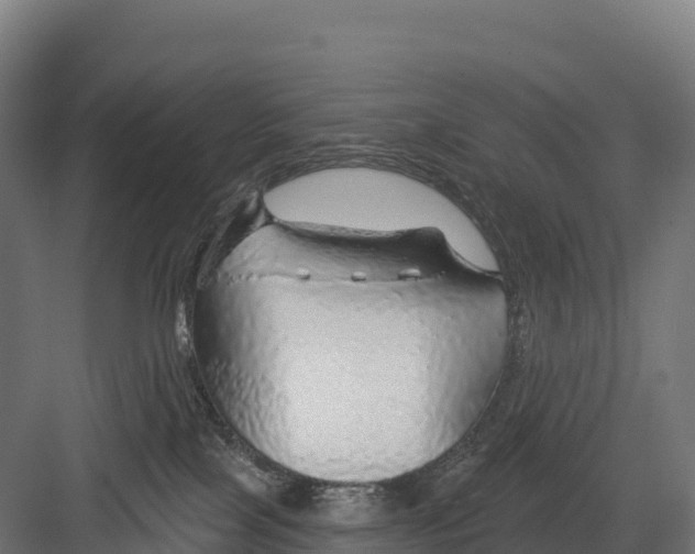 X0000082160089200702092229