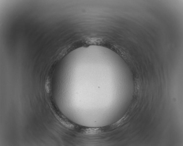 X0000082160090200702092229