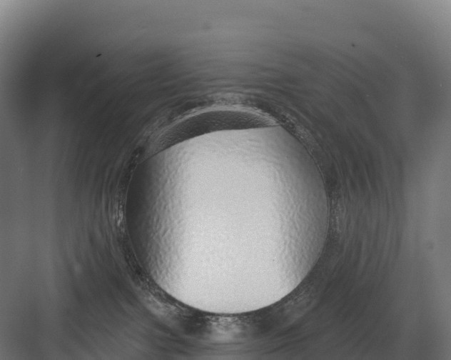 X0000082160091200702092229