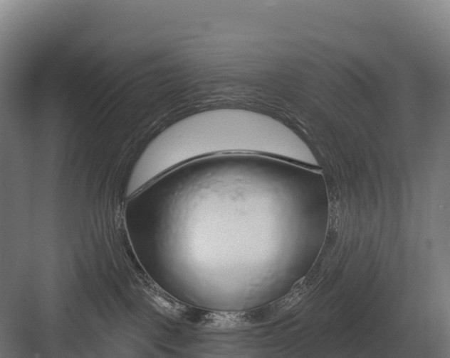 X0000082160093200702092229