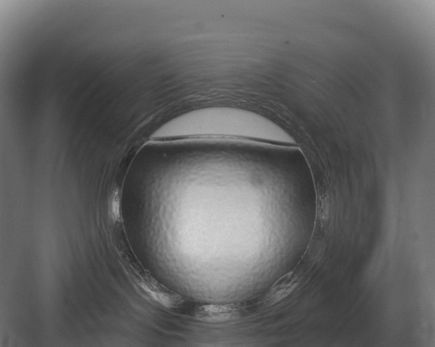 X0000082160095200702092229