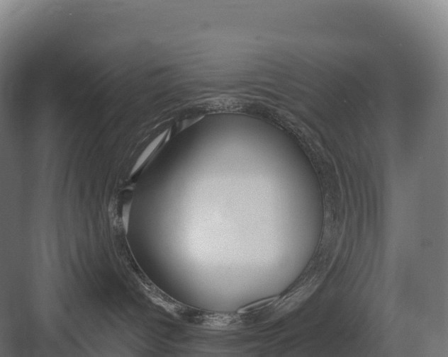 X0000082160096200702092229