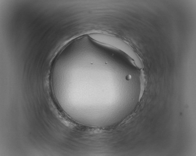 X0000082160098200702092228