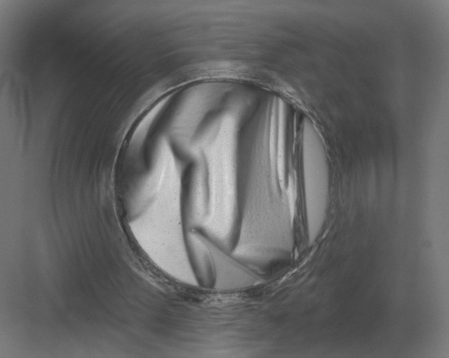 X0000082160099200702092228