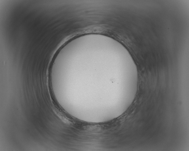 X0000082160100200702092228