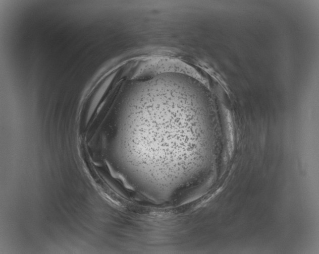 X0000082160101200702092228