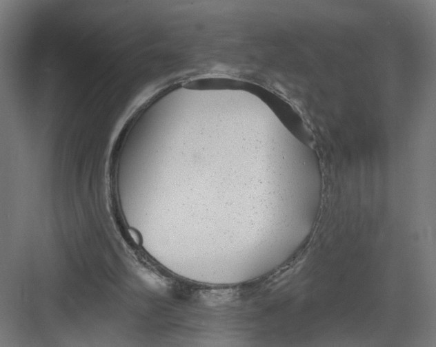 X0000082160102200702092228