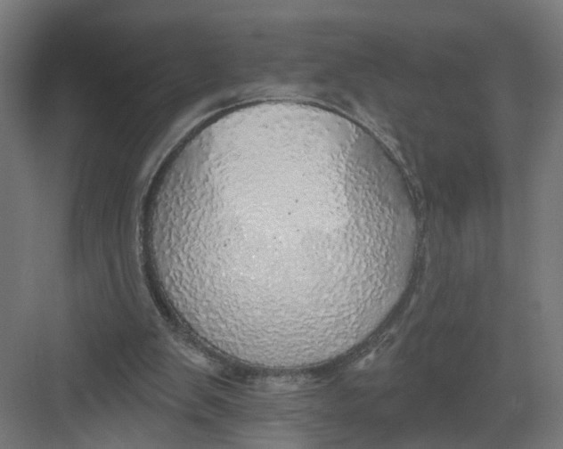 X0000082160103200702092228