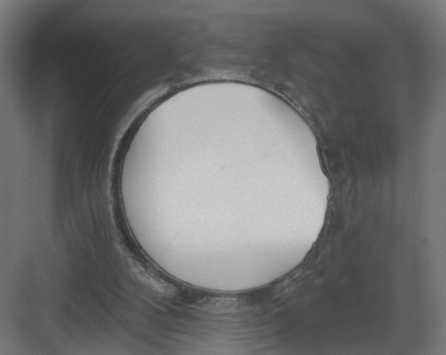 X0000082160104200702092228