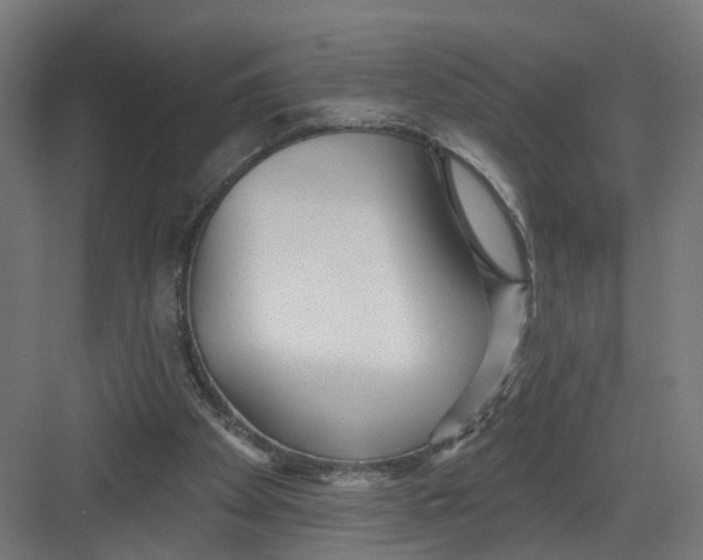 X0000082160105200702092228