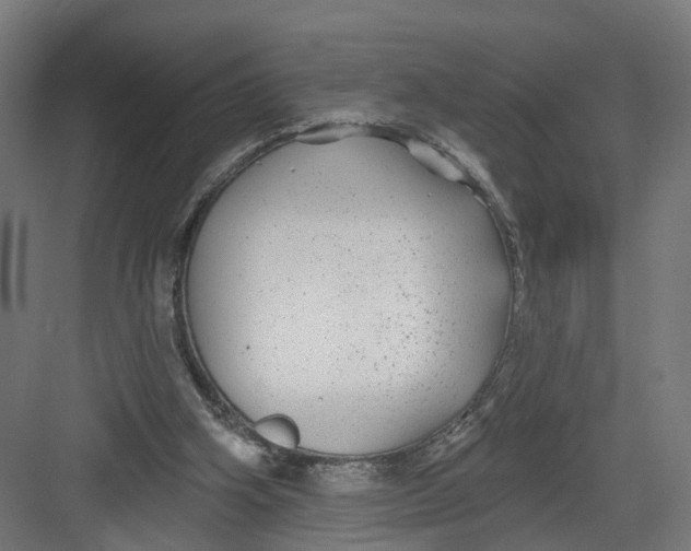 X0000082160106200702092228