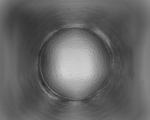 X0000082160107200702092228