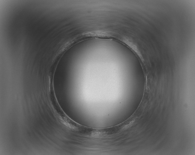 X0000082160109200702092228