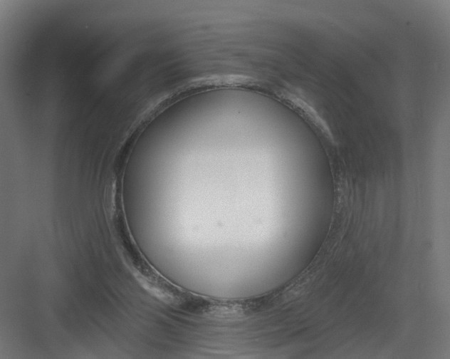 X0000082160110200702092228