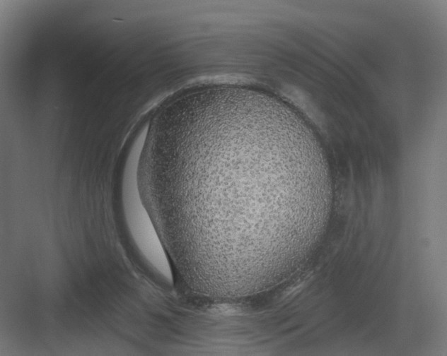 X0000082160111200702092228