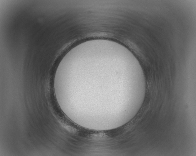 X0000082160112200702092228