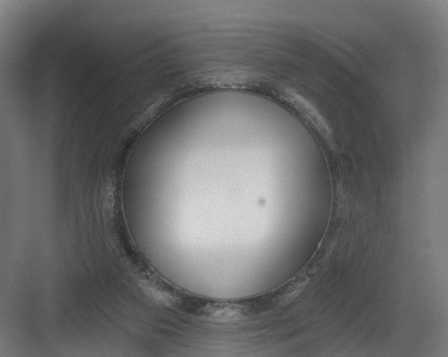 X0000082160113200702092228