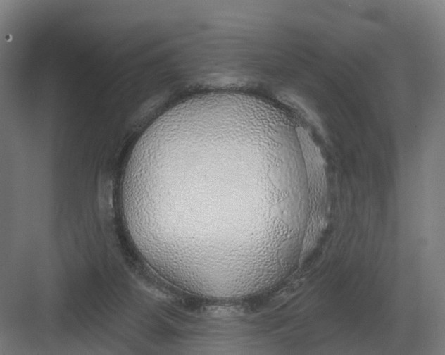 X0000082160115200702092228