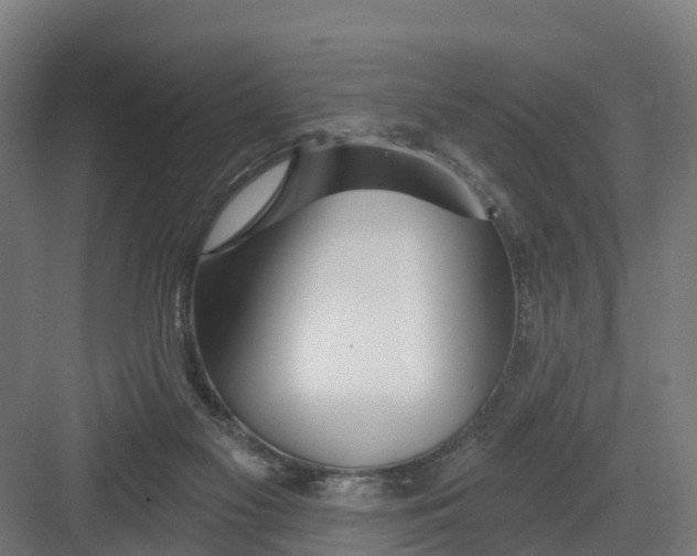 X0000082160117200702092228