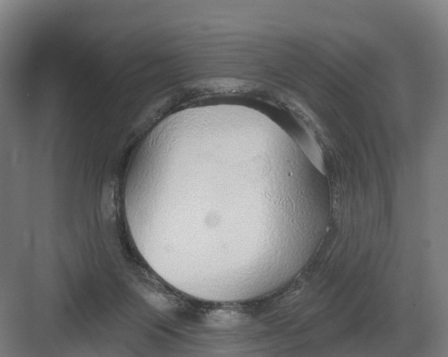 X0000082160119200702092228