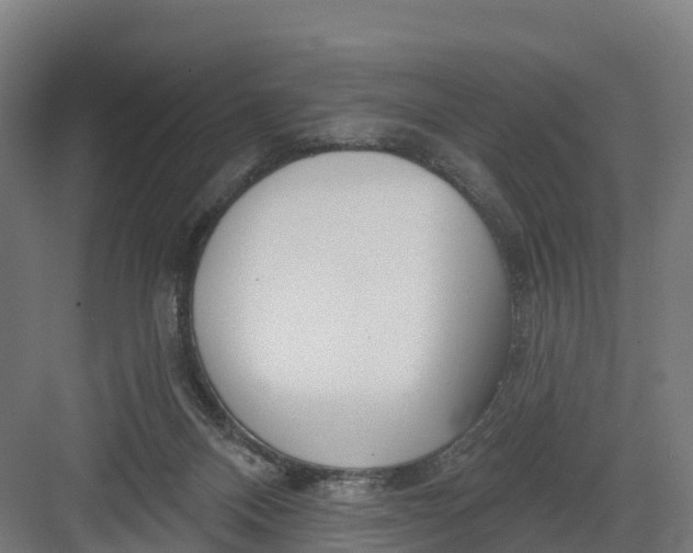 X0000082160120200702092228