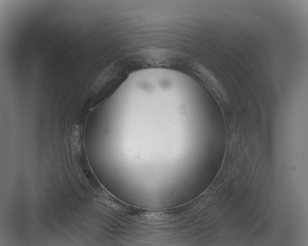 X0000082160121200702092228