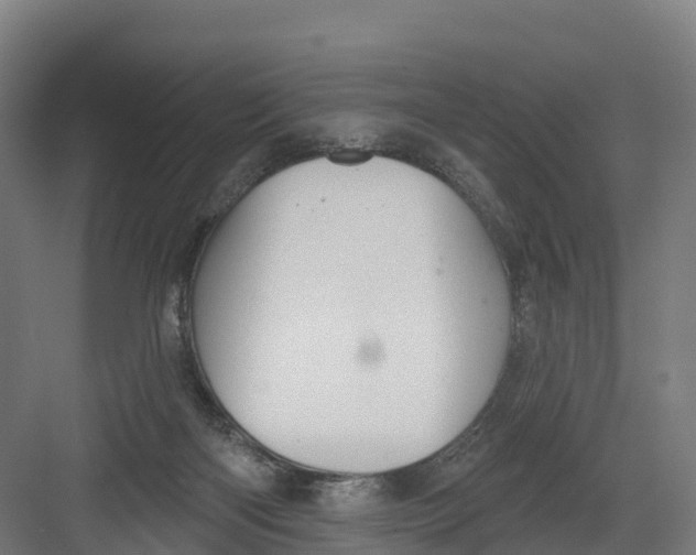 X0000082160122200702092228