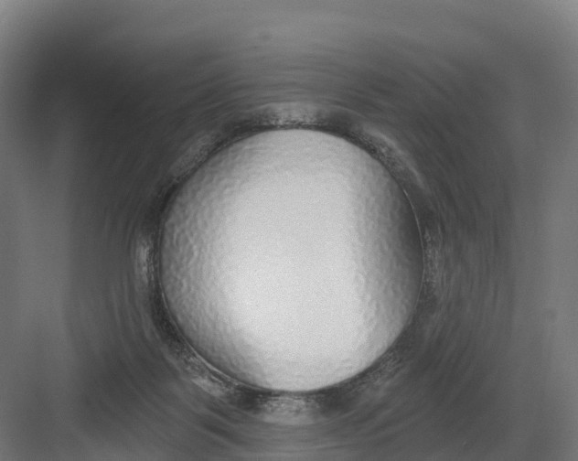 X0000082160123200702092227