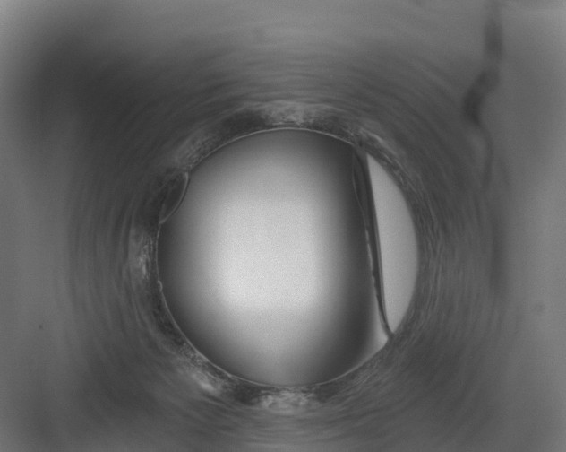 X0000082160125200702092227