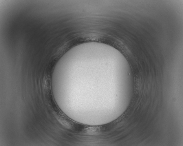 X0000082160126200702092227