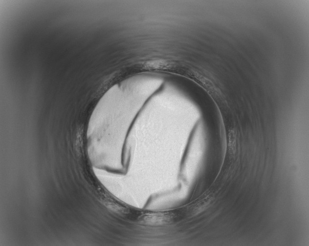 X0000082160127200702092227