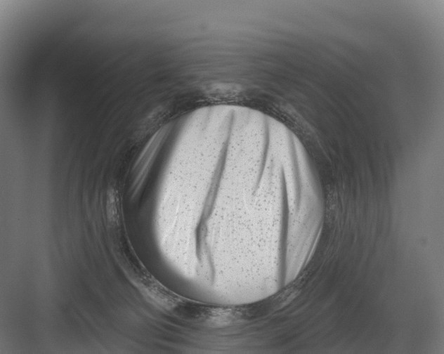 X0000082160130200702092227