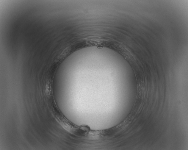 X0000082160134200702092227