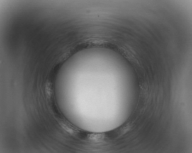 X0000082160135200702092227