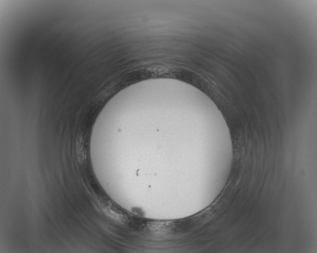 X0000082160136200702092227