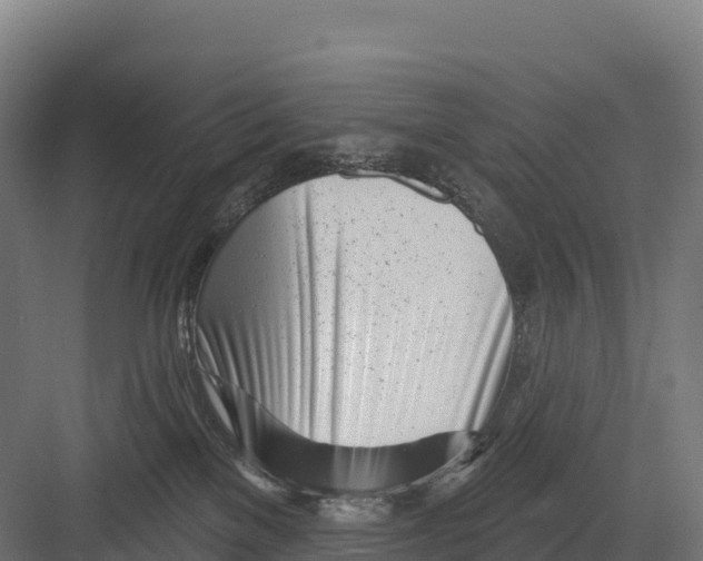 X0000082160137200702092227