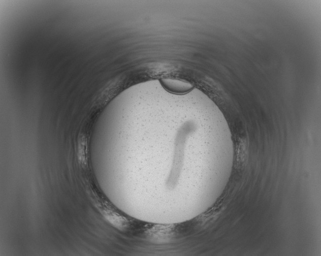 X0000082160138200702092227