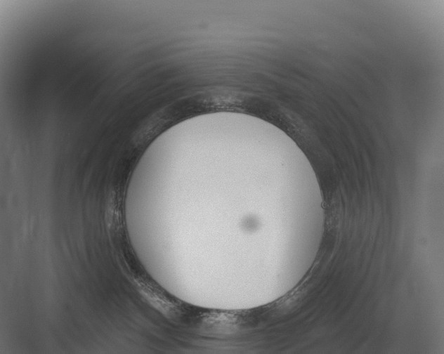 X0000082160140200702092227