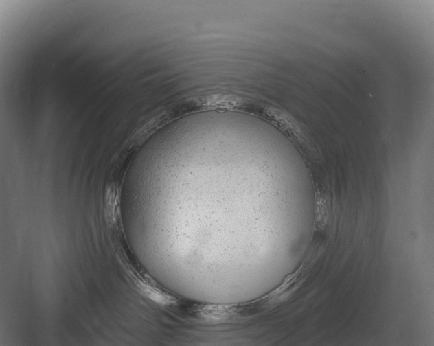 X0000082160142200702092227