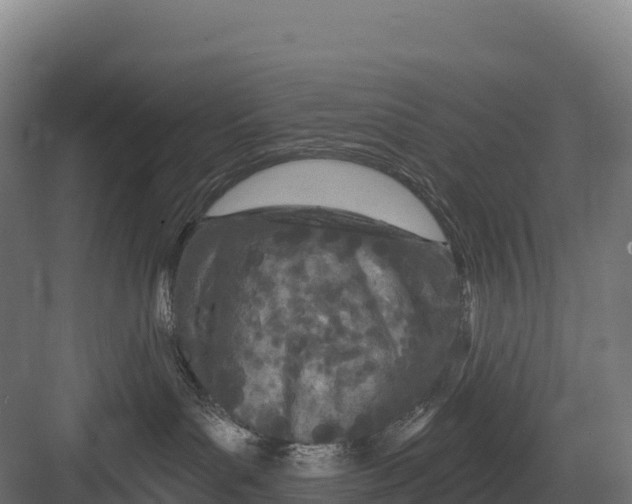 X0000082160143200702092227