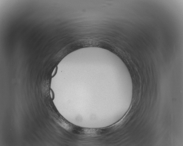 X0000082160144200702092227