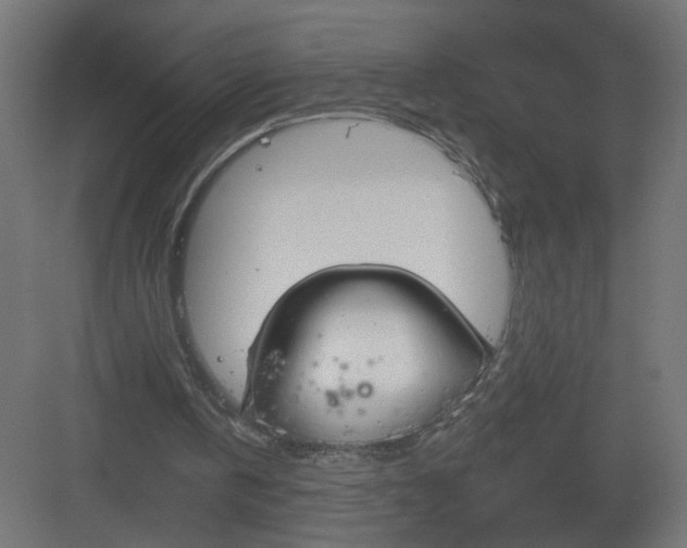 X0000082160146200702092226