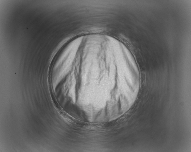 X0000082160147200702092226